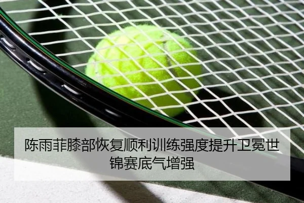 陈雨菲膝部恢复顺利训练强度提升卫冕世锦赛底气增强